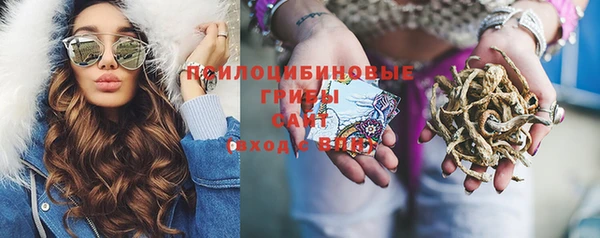 амф Переславль-Залесский