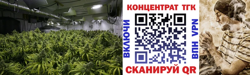 ТГК концентрат магазин продажи Светлоград
