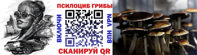 закладки  mega ONION  Галлюциногенные грибы мицелий  Светлоград 
