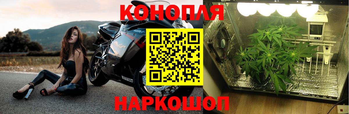 МАРИХУАНА индика Светлоград